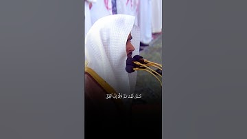 تلاوة من القرآن الكريم بصوت الشيخ عبدالله القرافي | سورة القصص من آية ٢٤ إلى آية ٢٥ | تلاوة رائعة