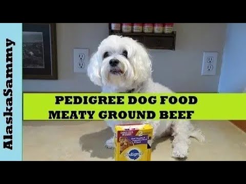 pedigree-wet-dog-food-meaty-ground-beef