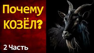 картинка: ПОЧЕМУ КОЗЕЛ? 2 часть г.Казань