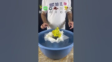 TRY TO GUESS HOW MANY TISSUE PAPER IT TOOKS! #satisfying #asmr #experiment #water #waterexperiments