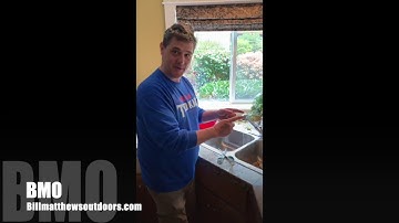 How to Clean a Razor Clam