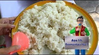 Apa Sih Itu Fermentasi,TAU GAK SIH?