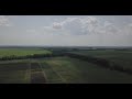 АгроOnline - обліт дроном #18