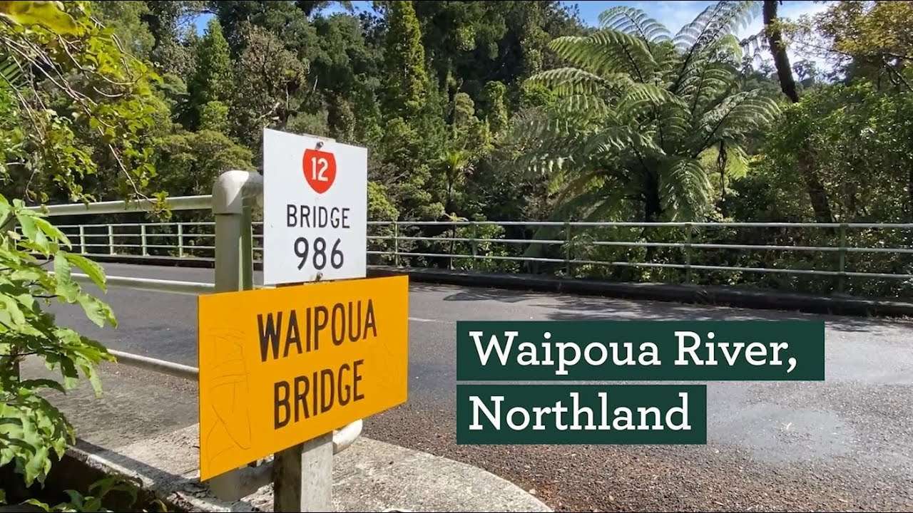 Waipoua River restoration