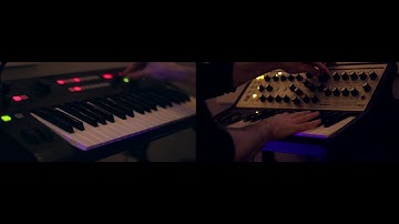 Wave Sequences | Korg R3, Moog Sub Phatty