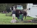 Anoka Family Witnessed & Helped Woman Gored By Bison At Yellowstone National Park