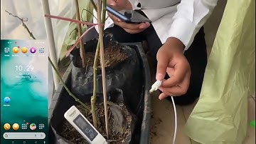 Sistem Monitoring Nutrisi Pada Greenhouse Tanaman Cabai Menggunakan Wemos D1 R32 Berbasis IoT