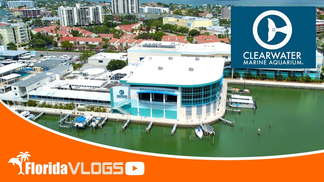 Clearwater Marine Aquarium Updates 2023 Florida Inside Vlog058