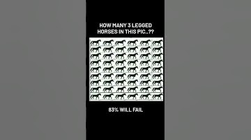 how many 3 legged horses in this pic???