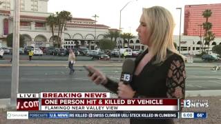 One Person Hit U0026 Killed By Vehicle On Flamingo Road