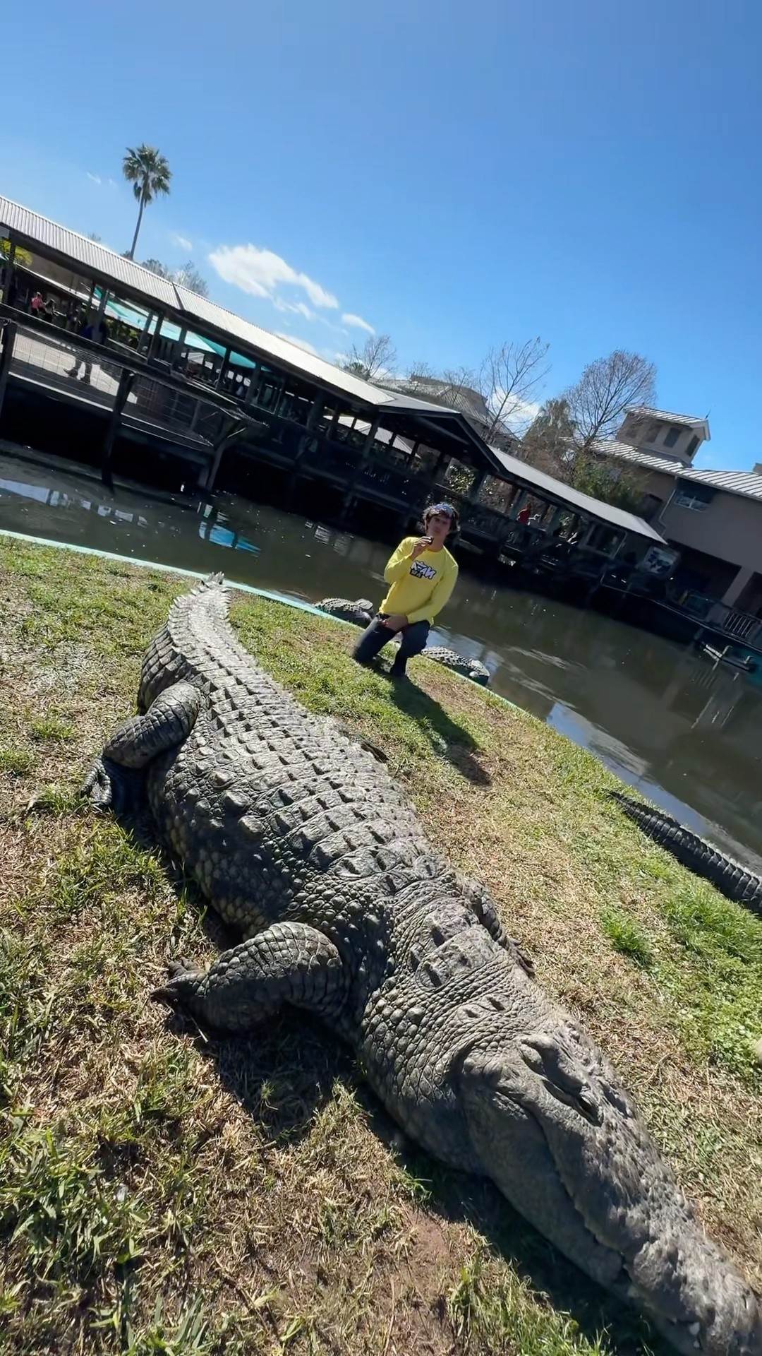CROCODILOS @gatorlandvlogs