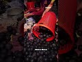 How High Quality Tennis Balls Are Made #shortvideo
