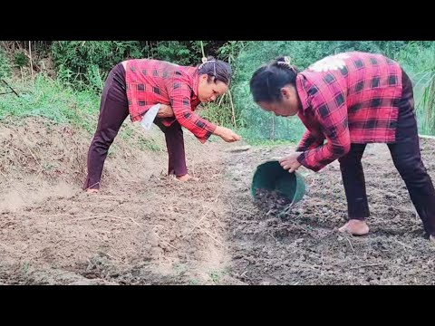 The mother and child's daily struggle for survival