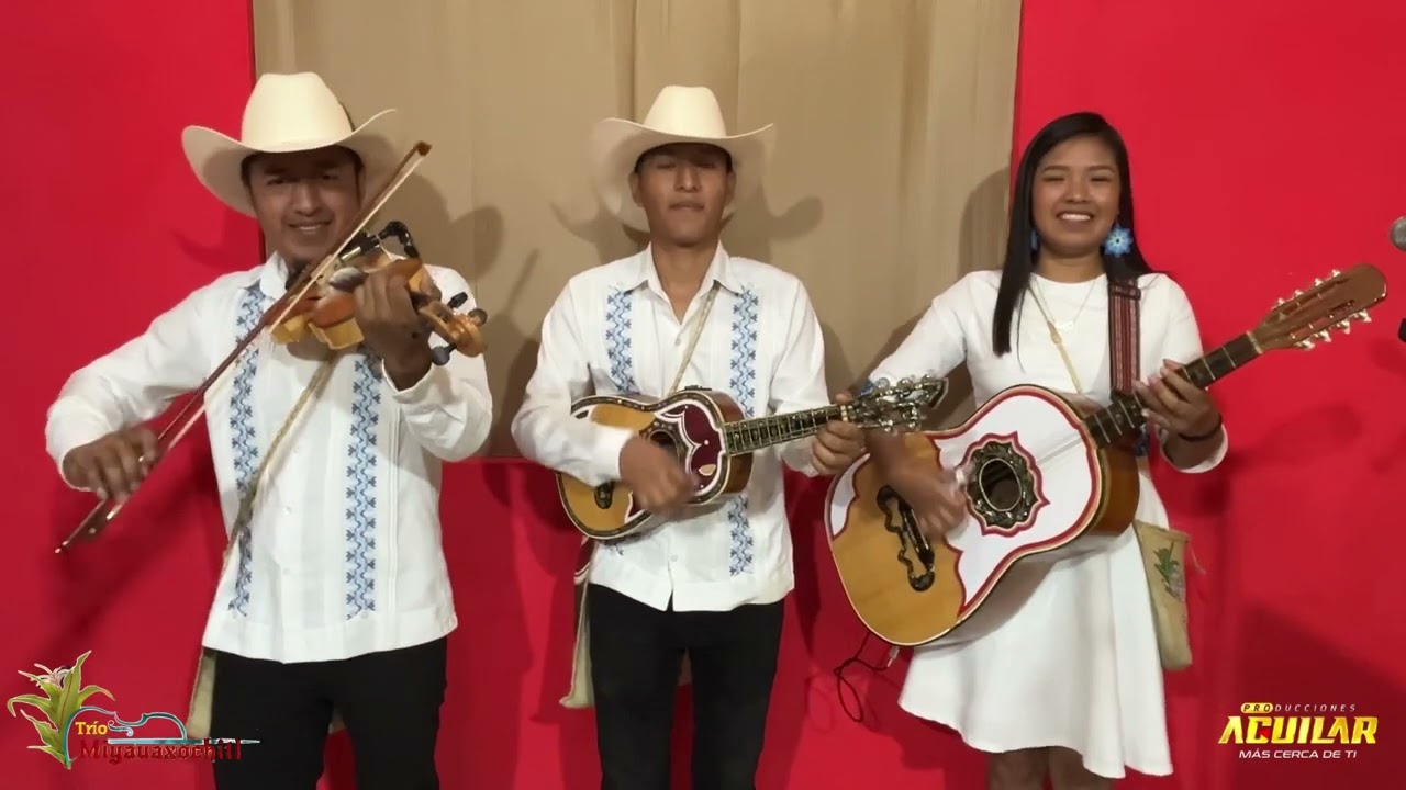 El Morralito Trio Miyauaxochitl 
