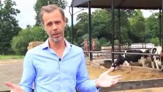 Download Lagu Nicks Notebook | Leaving Spetchley HQ MP3