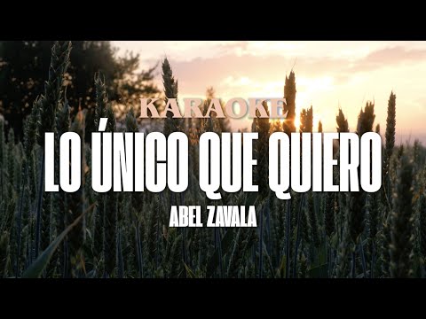 Lo Único Que Quiero - Abel Zavala (Karaoke)