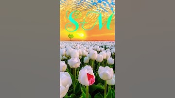 S love m status video #whatsapp_status #name_status_video #viral #reels #nameart #ravindra_ranjan