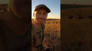 NEW Feature from OnX Hunt!