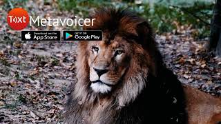 Animal Documentary Using MetaVoicer|| Mobile App that Converts Text to Natural Human Voice. screenshot 3