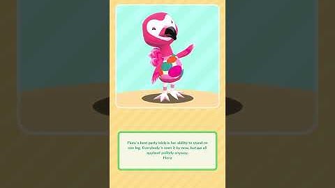 Cabin and Camp Site #animalcrossing #acpc