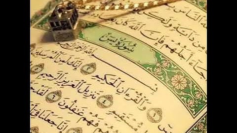 ماتيسر من سورة ياسين القارئ الحاج ميثم التمار 🌼💞
