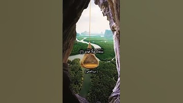 تلاوه خاشعة | سورة الضحى بصوت القارئ نورين محمد صديق  #القرآن  #Quran #تلاوات #قران