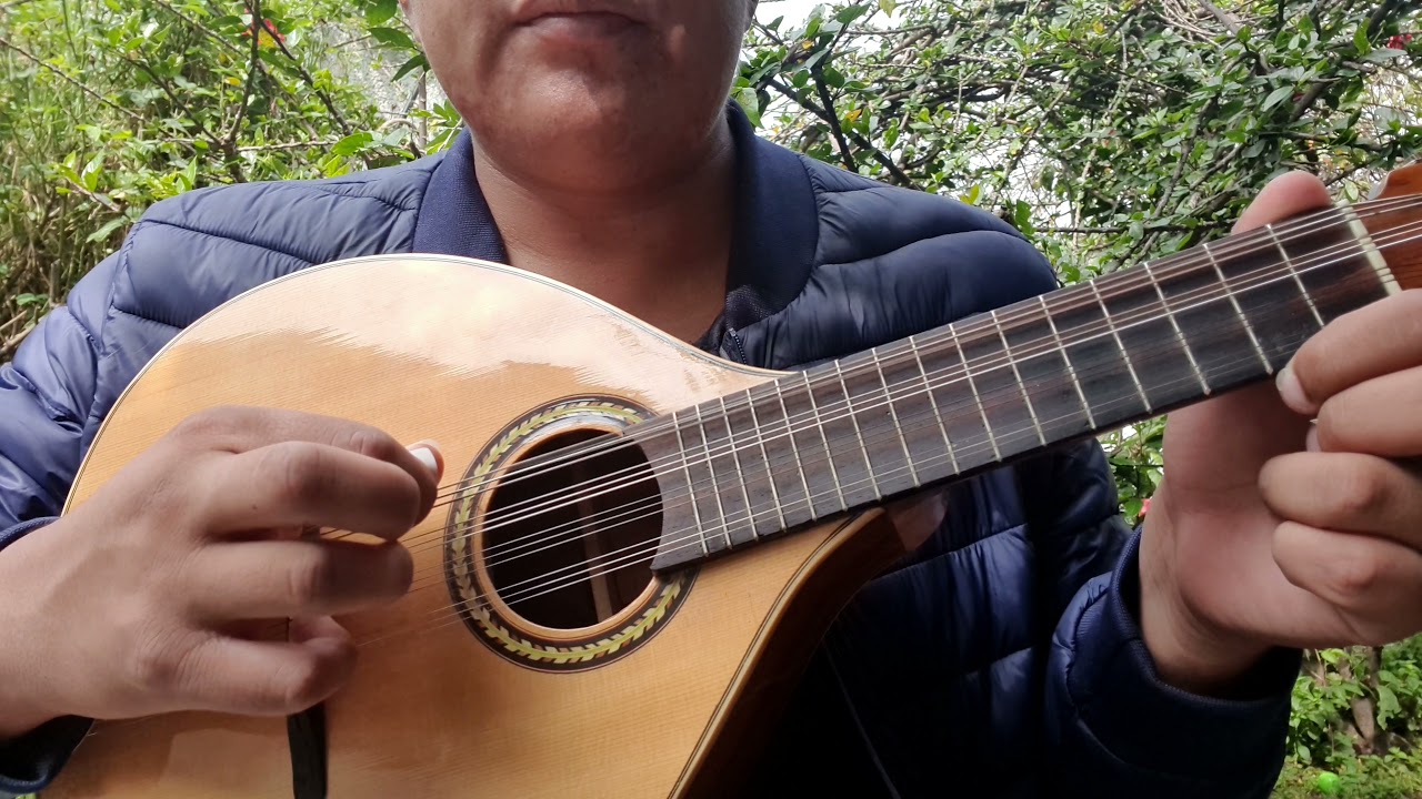 Curso Intensivo Mandolina Sesión 9/50 Prof Fernando Ortiz Pichardo Aprende A Tocar 100% Garantizado