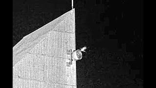 Falconcam 2025 11 29 Gimbir Has Difficulty Flying At Night