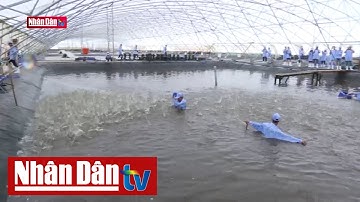 Phát triển thủy sản công nghệ cao thích ứng biến đổi khí hậu | Nông nghiệp chuyển động
