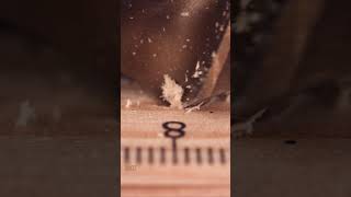 Wood Drilling Close-Up