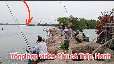 Full/Tổng hợp video câu cá Tráp, Hanh/ Câu Đùng Mỹ Xuân Tân Thành BRVT@Dammecauca1