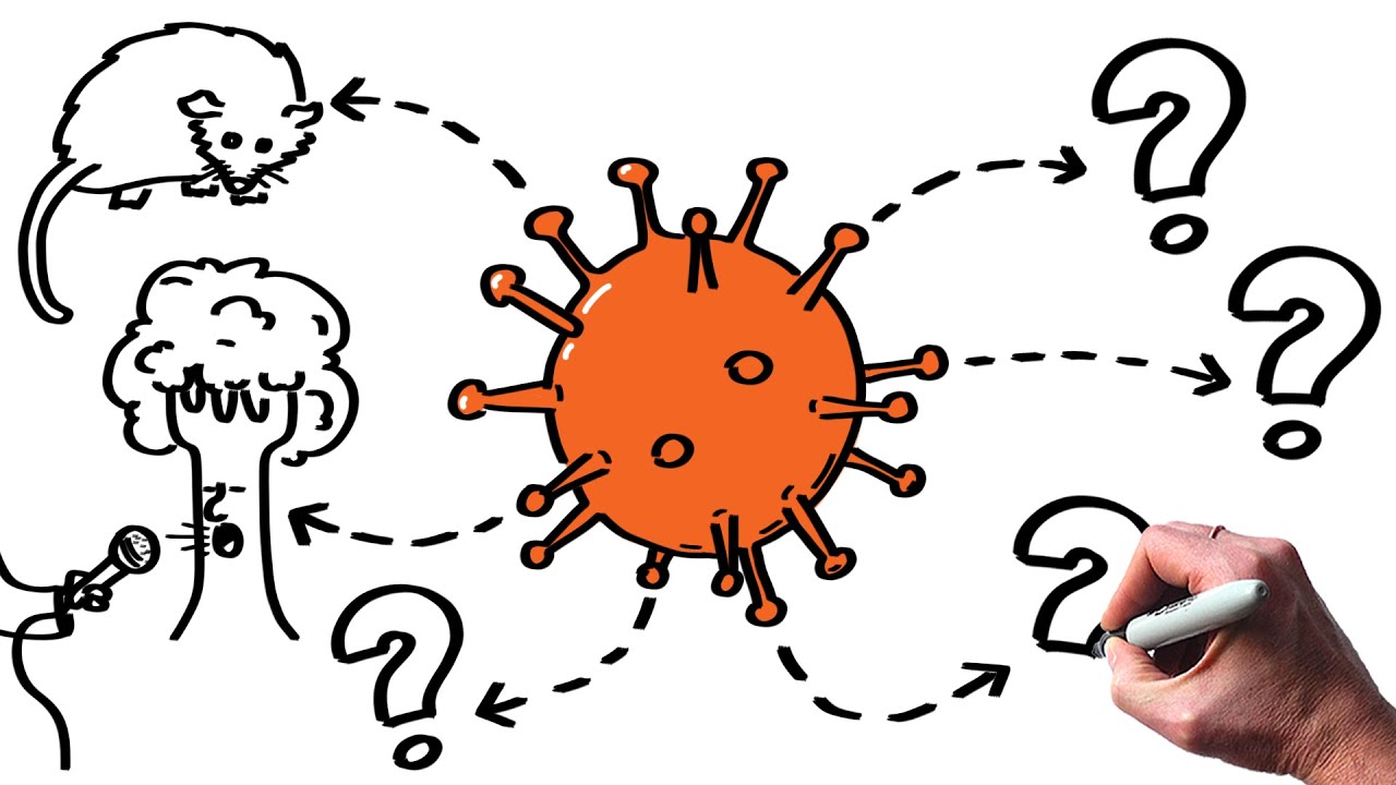 6 Liens Etonnants Entre Coronavirus Et Environnement Ecologie Changement Climatique Youtube 6 Liens Etonnants Entre Coronavirus Et Environnement Ecologie Changement Climatique Youtube