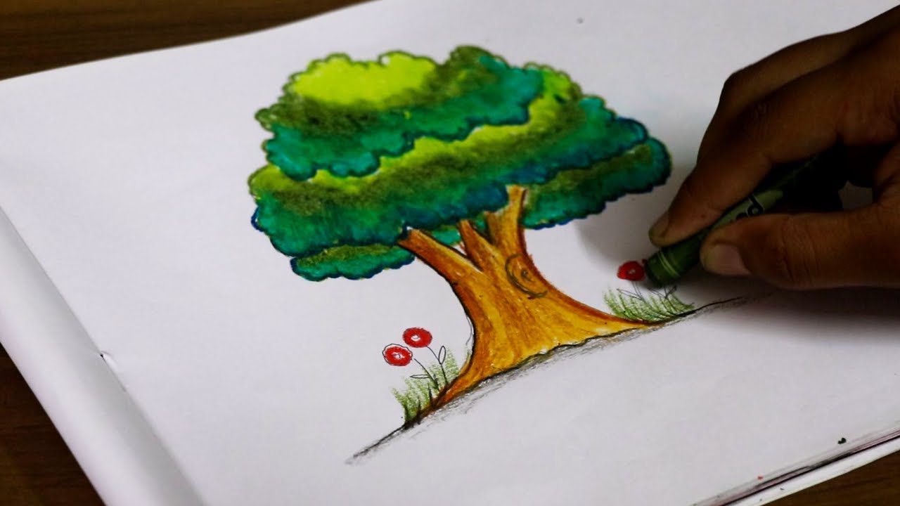 How to Draw a Tree for beginners step by step YouTube