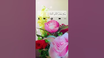 سورة الزلزلة #سعد_الغامدي #قران_كريم #quran #لايك #اكسبلور #متابعة #لااله_الاالله