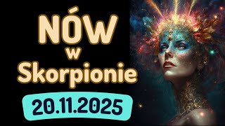 NÓW KSIĘŻYCA W ZNAKU SKORPIONA 🌑 20 listopada 2025 🌑 prognoza Tarota - wszystkie znaki zodiaku