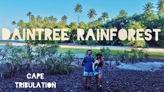 Cape Tribulation - Our Favorite Place In Australia