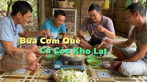 Một Buổi Chiều Ngâm Lưới Trên Sông Hậu Dính Cá Cóc Đầu Mùa Kho Lạt Ăn Thiệt Là Ngon | Cldv #724