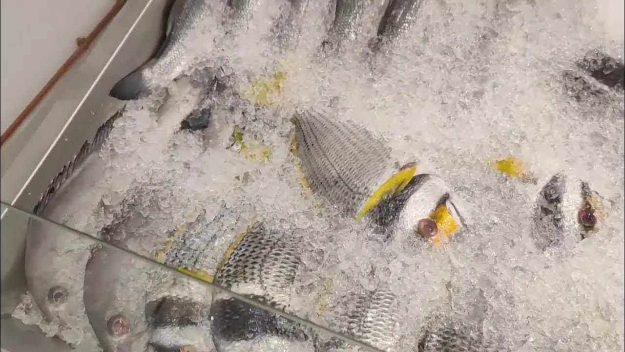BBQ WHITE SNAPPER AT MATAR FISH GRILL MATAR QADEEM DOHA QATAR 🇶🇦 YouTube