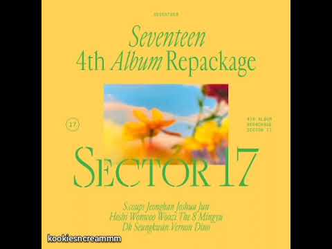 세븐틴 Seventeen WORLD Hidden Vocals