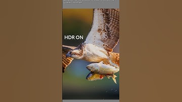 New HDR is AMAZING for photography. #photography #lightroom #hdr