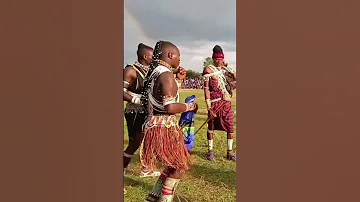 Show Ya Limbu Luchagula X Mayikusai 2025 