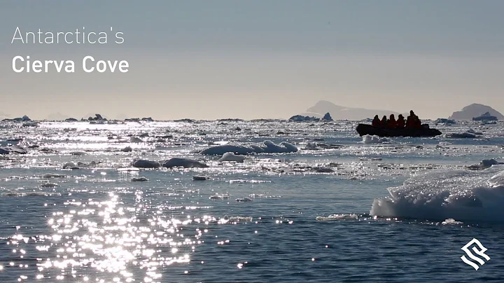 Antarctica's Cierva Cove