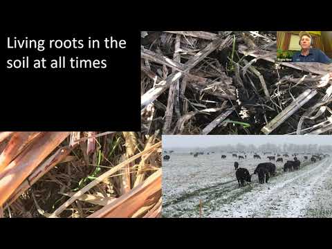 Video: Porozumenie agaru a pôde – prečítajte si o klíčiacich rastlinách s agarom