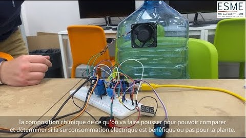 Serre autonome : faites pousser vos plantes sans vous en occuper !