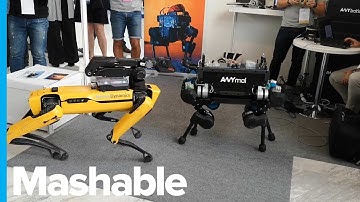 A Robot Dog Empire in the Making: SpotMini Meets Its Rival, ANYmal – Genius Moments