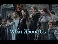 Game of thrones  what about us  house stark