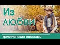 "Из любви" ИНТЕРЕСНЫЙ ХРИСТИАНСКИЙ РАССКАЗ  | Христианские рассказы