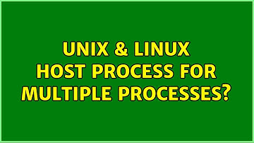 Unix & Linux: Host process for multiple processes? (2 Solutions!!)