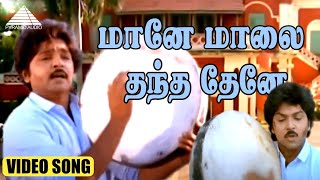 மானே மாலை தந்த தேனே Video Song | மருது பாண்டி | ராம்கி | சீதா | இளையராஜா