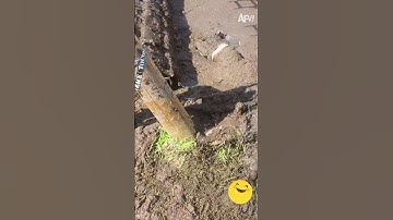 No worries, his teeth is totally safe #mud #dirty #fail